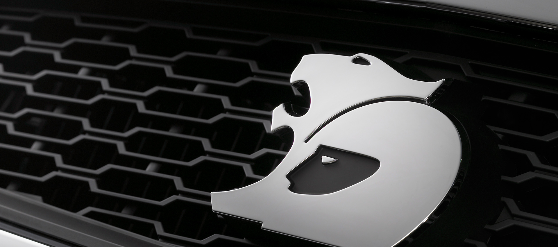 Authenticate Your HSV